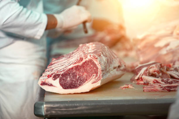AI Implementation in an Icelandic Meat Processing Company